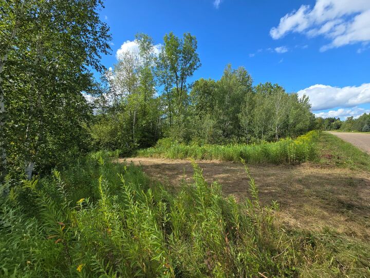 Property Photo:  13769 188th Place  MN 56350 