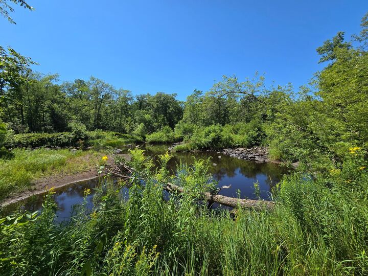 Property Photo:  Tbd 188th Place  MN 56350 