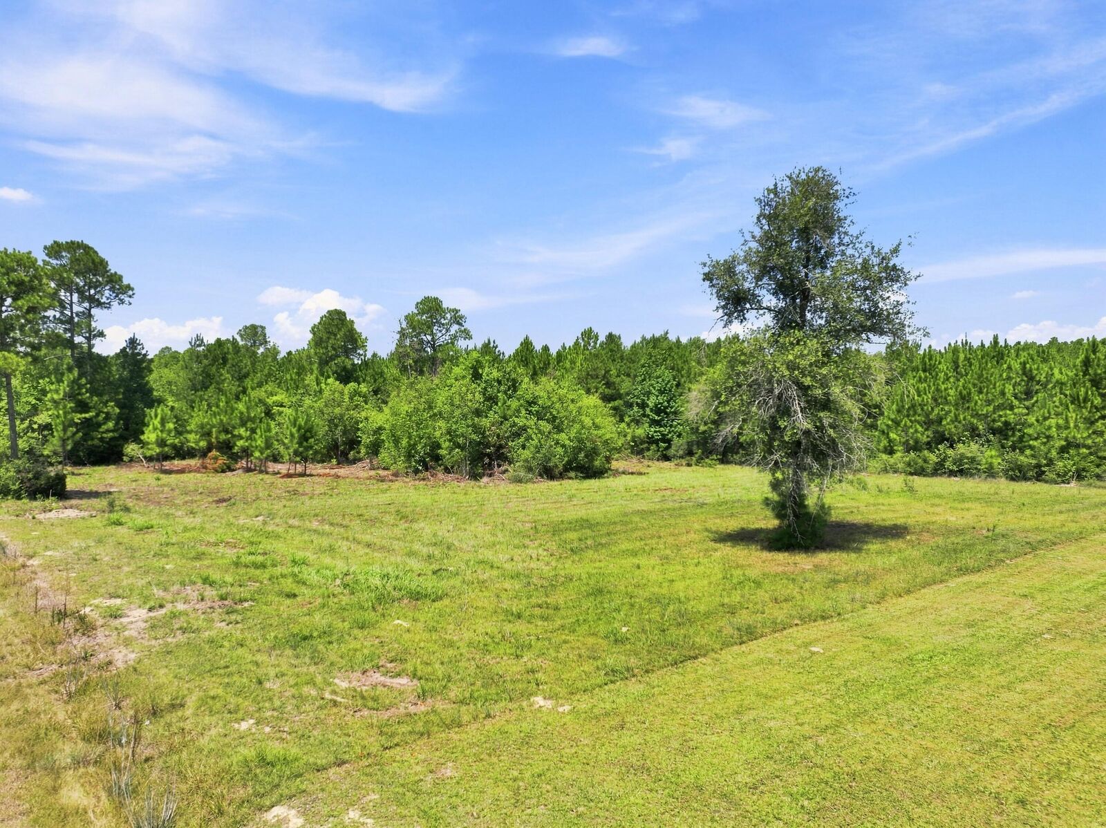 Property Photo:  O'Kelly Road Lot 1  LA 70652 