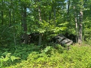 Property Photo: 10810N Dachstein Lane WI 54843