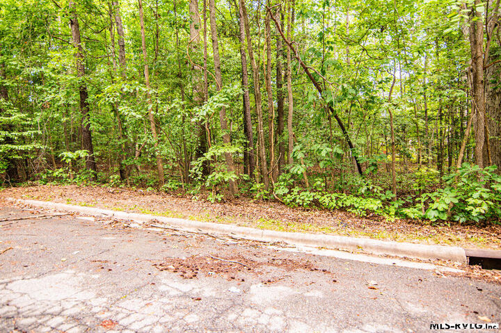 Property Photo:  Lot 14C Downs Brook Dr  NC 27870 