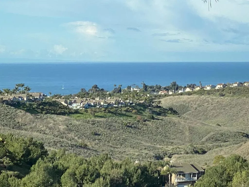 Property Photo:  2044 Costero Hermoso  CA 92673 