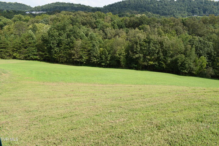 Property Photo:  613 Tomahawk Drive  TN 37664 