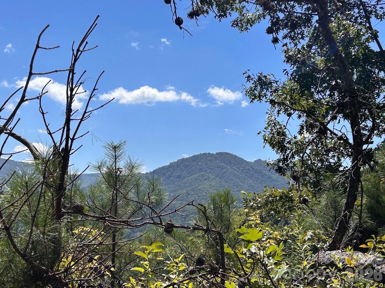 Property Photo:  9999 US Hwy 441 Highway S  NC 28779 