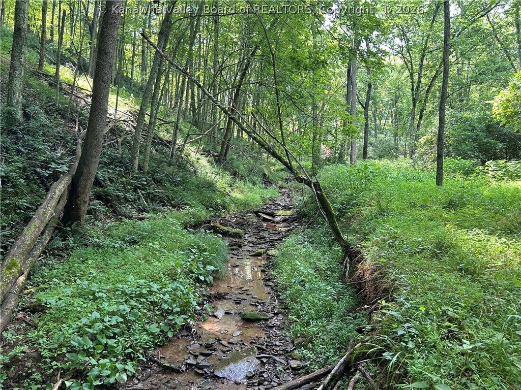 Property Photo:  1640 Charleston Road  WV 25276 