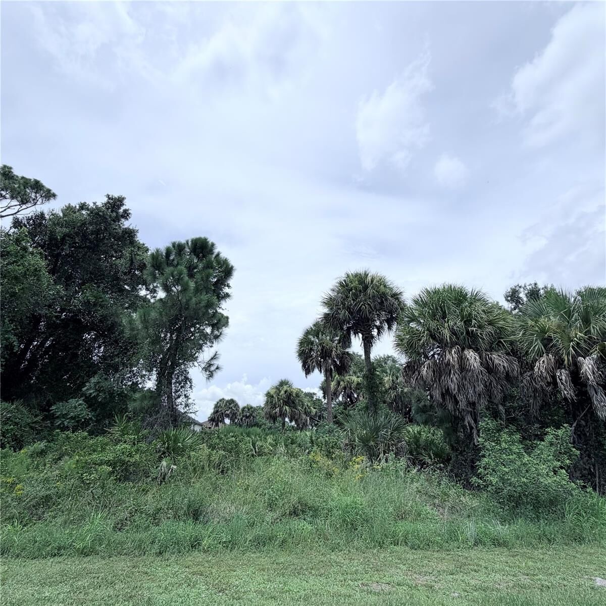 Property Photo: Torino Street FL 34287