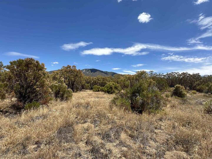 Property Photo: 54174 Mdw Vly Lane CA 92539