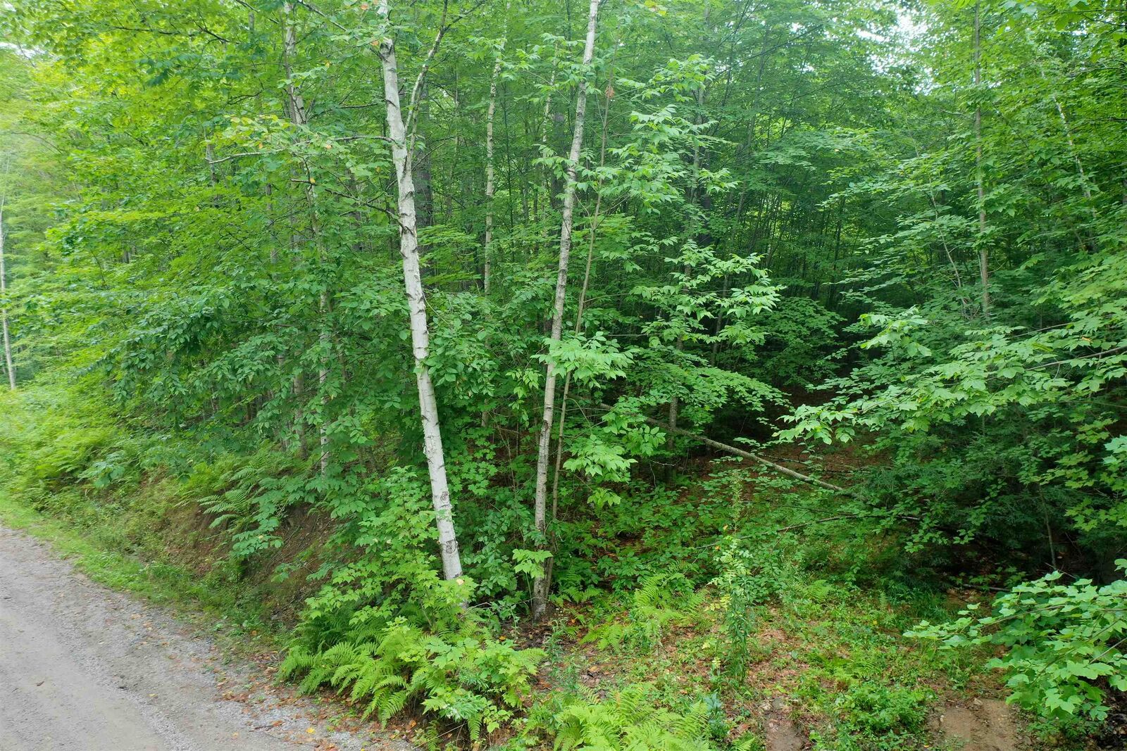 Property Photo: 0 Guide Board Hill Road NH 03303