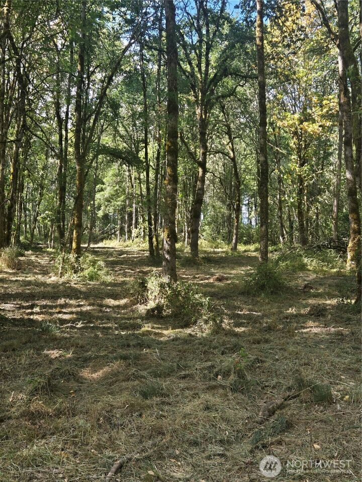 Property Photo:  144  Dowling Road  WA 98591 