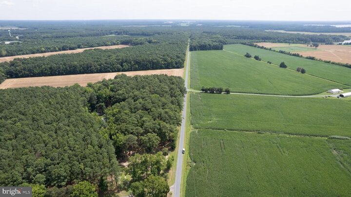 Property Photo: Horns Point Road MD 21613