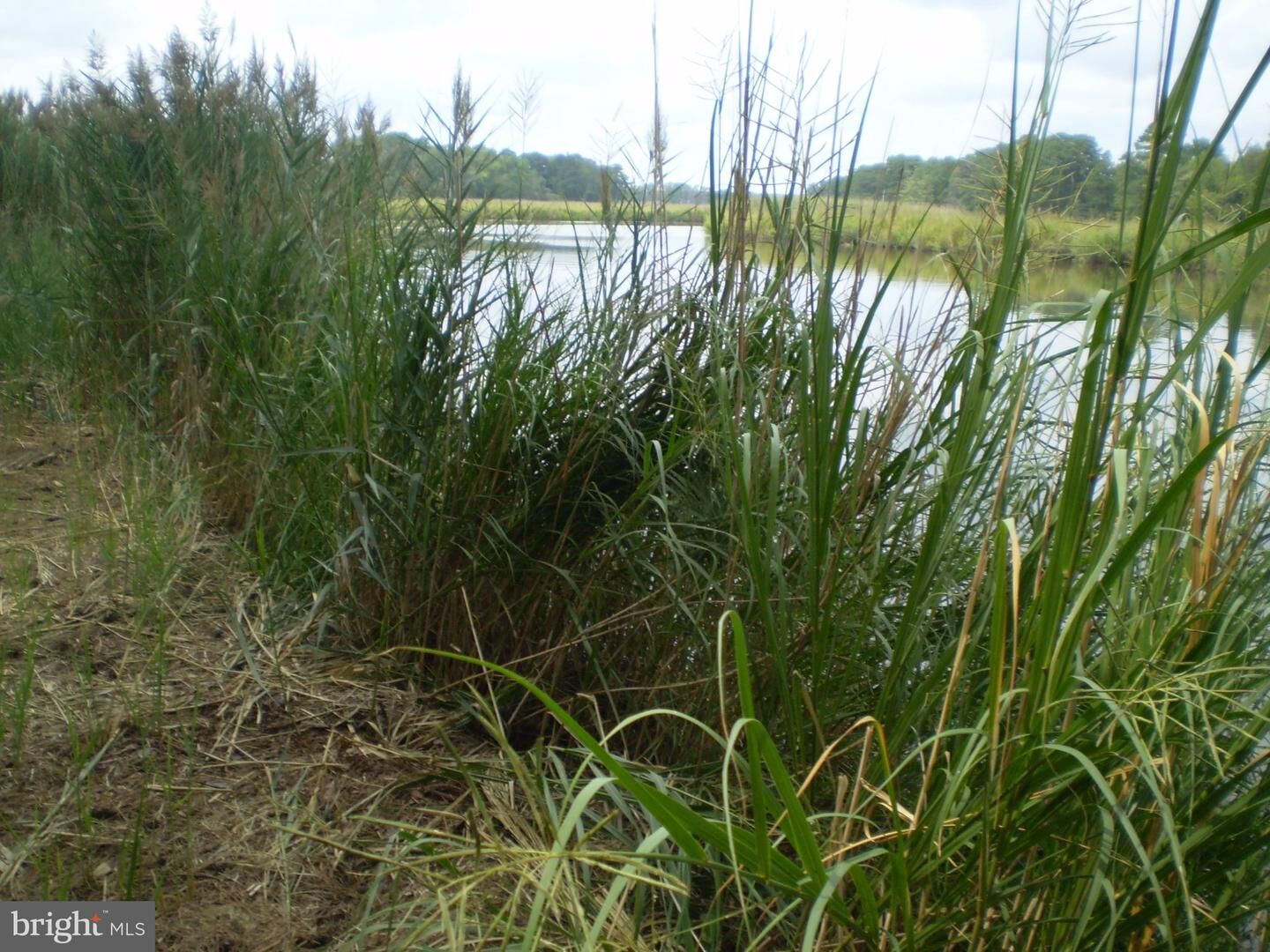 Property Photo:  0 Stewart Neck Road  MD 21853 