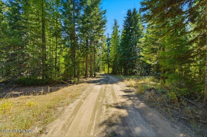 Property Photo: 223 Angelina Way ID 83856