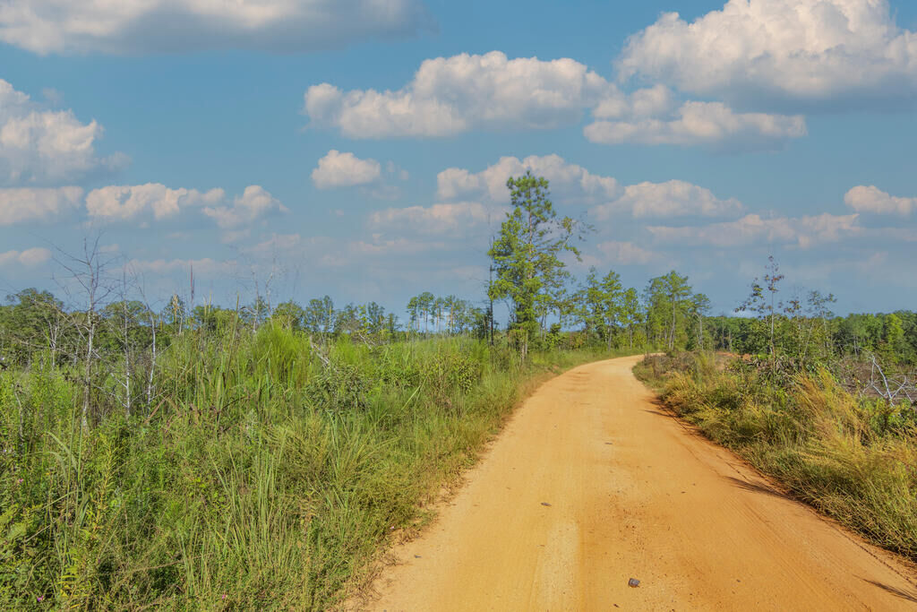 Property Photo:  Tract 7 Carlisle Gap Road  GA 31836 