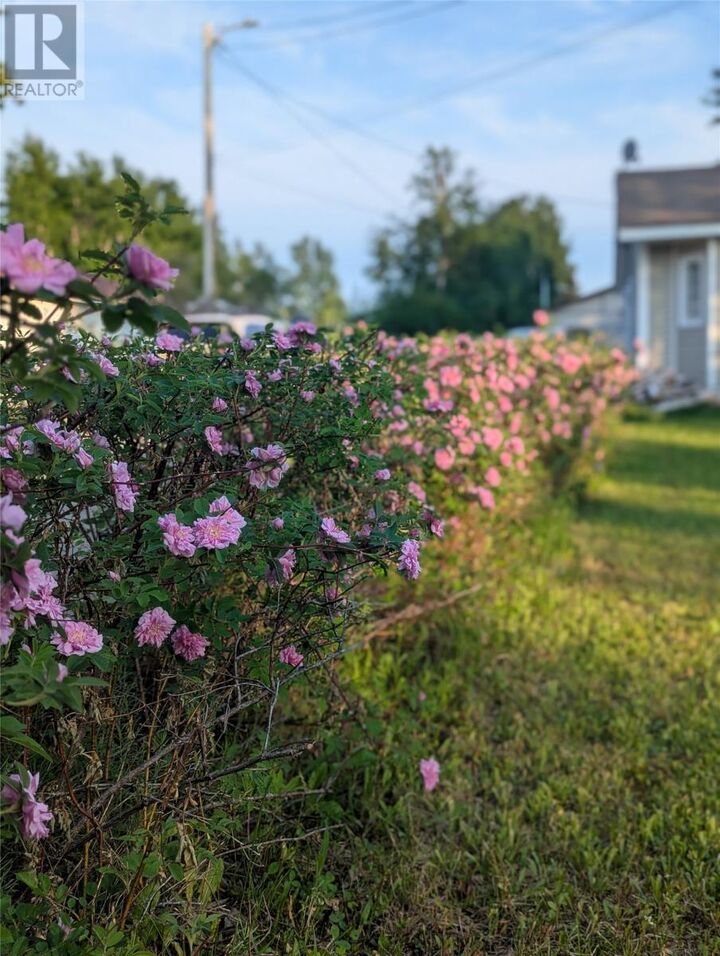 Property Photo:  15 Kessessaskiou Street  NL A0P 1E0 