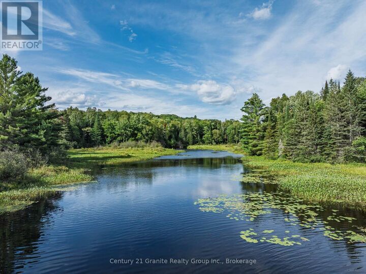 Property Photo:  1241 Koshlong Lake Road  ON K0M 1S0 