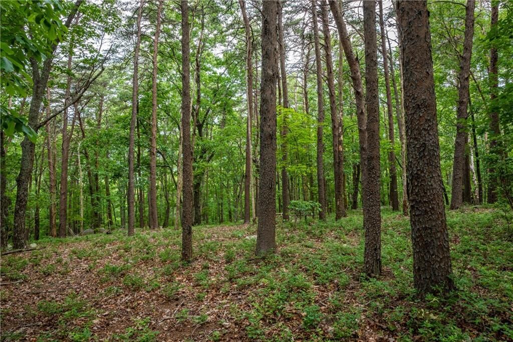 Property Photo:  206R Mystic Trail Lane  GA 30143 