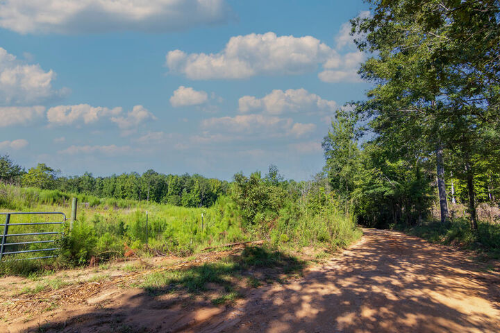 Property Photo:  Tract 8 Carlisle Gap Road  GA 31836 