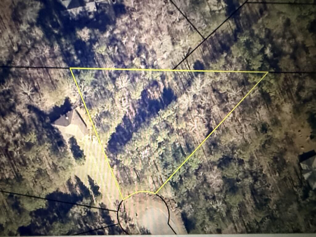 Property Photo:  Lot 22 Quail Trail  GA 31811 