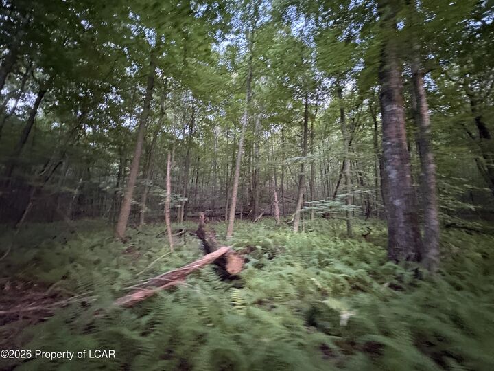 Property Photo: 39 And 40 Moon Lake Forest Road PA 18621