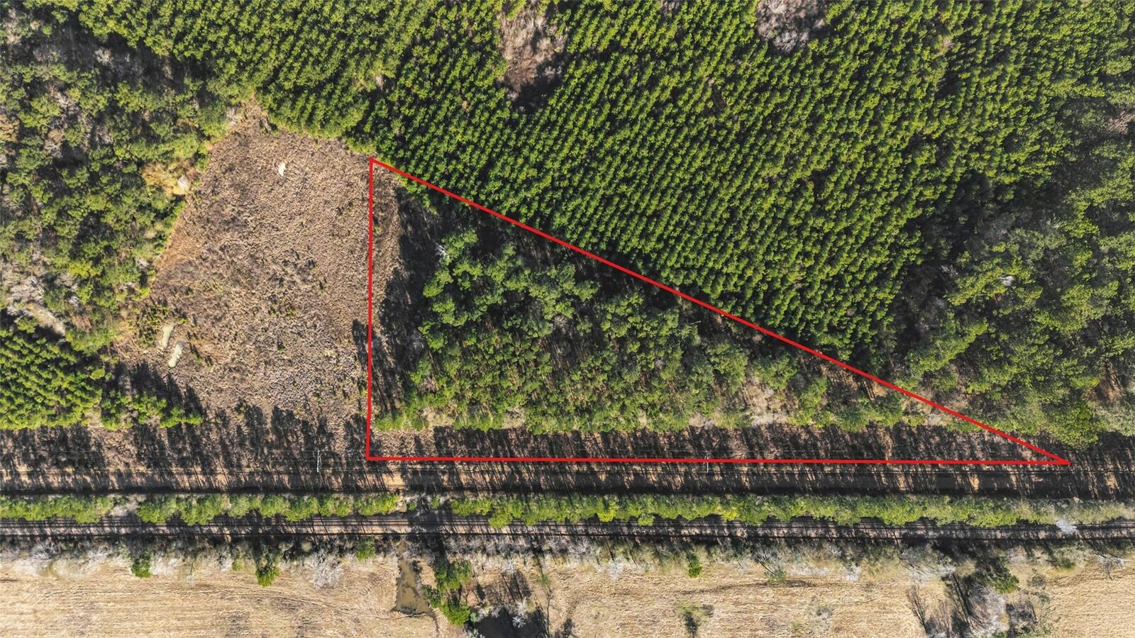 Property Photo: 1495 County Road 2200 TX 77327
