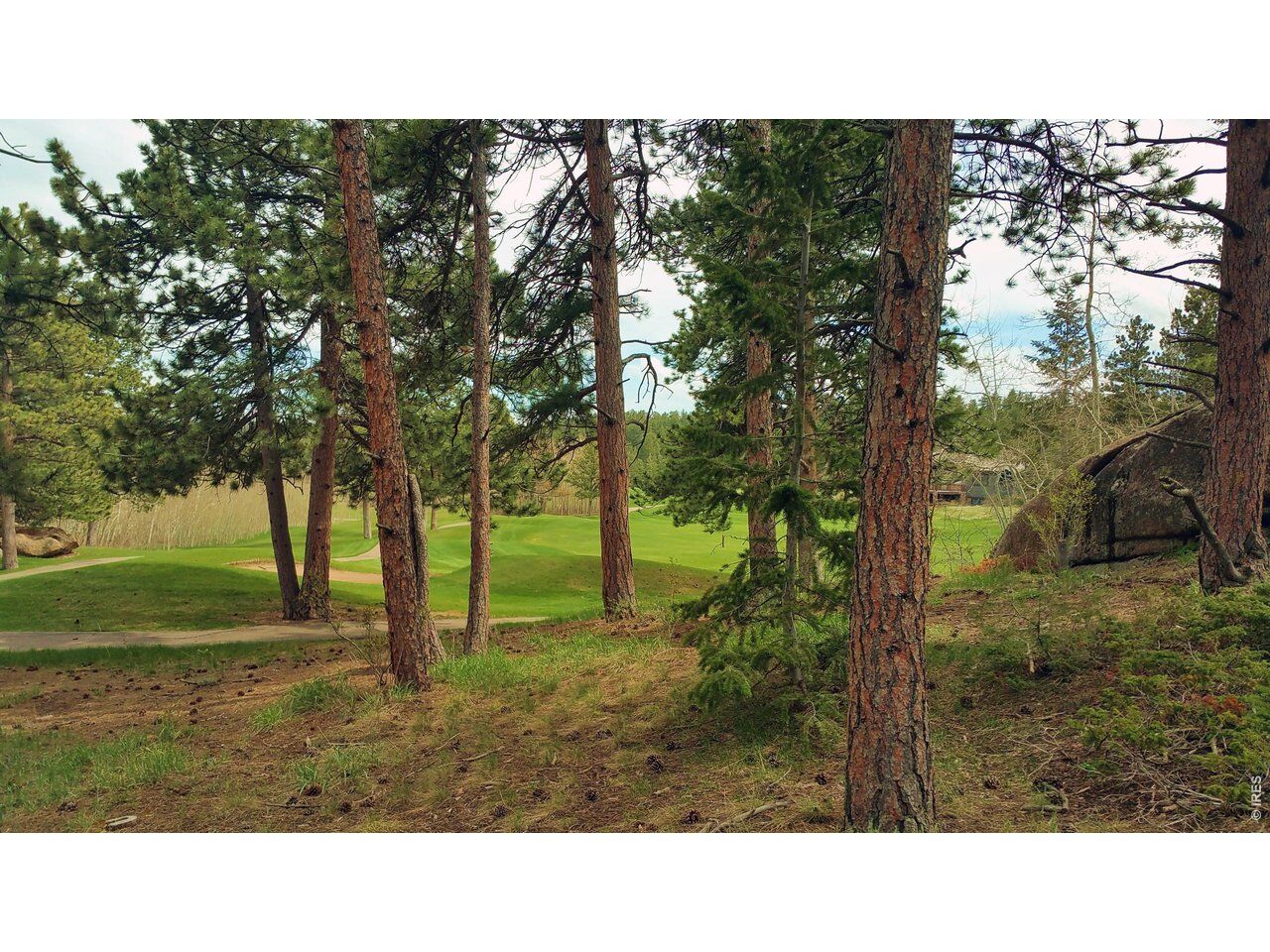 Property Photo:  520 Fox Acres Drive W Dr W  CO 80545 