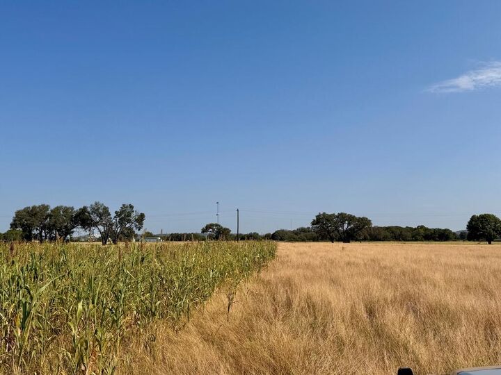 Property Photo:  113 Verde Creek  TX 78010 