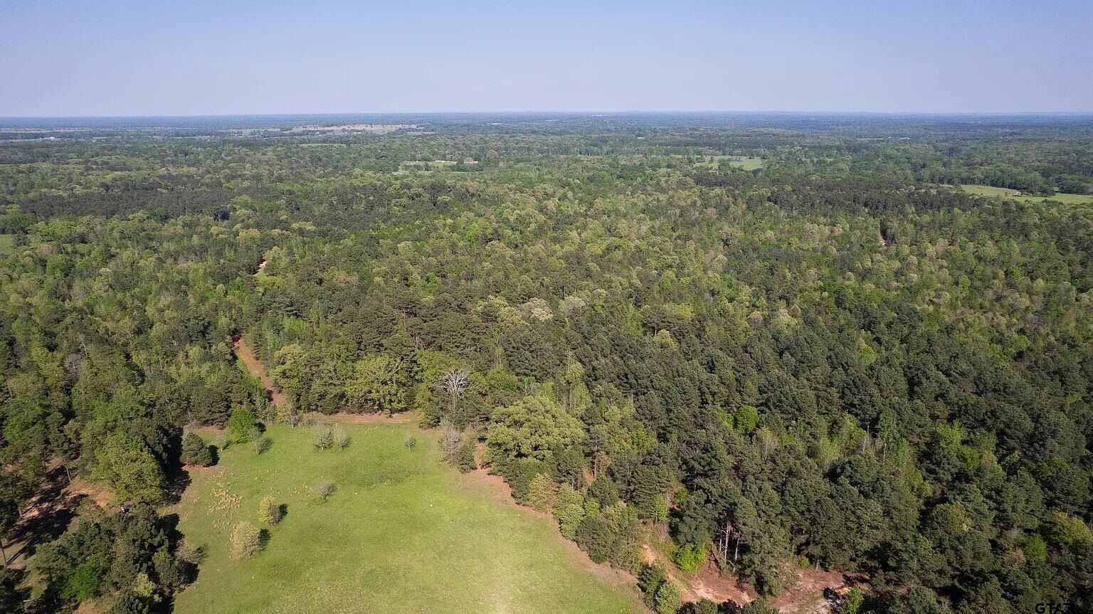 Property Photo:  Tbd Fm 852  TX 75494 