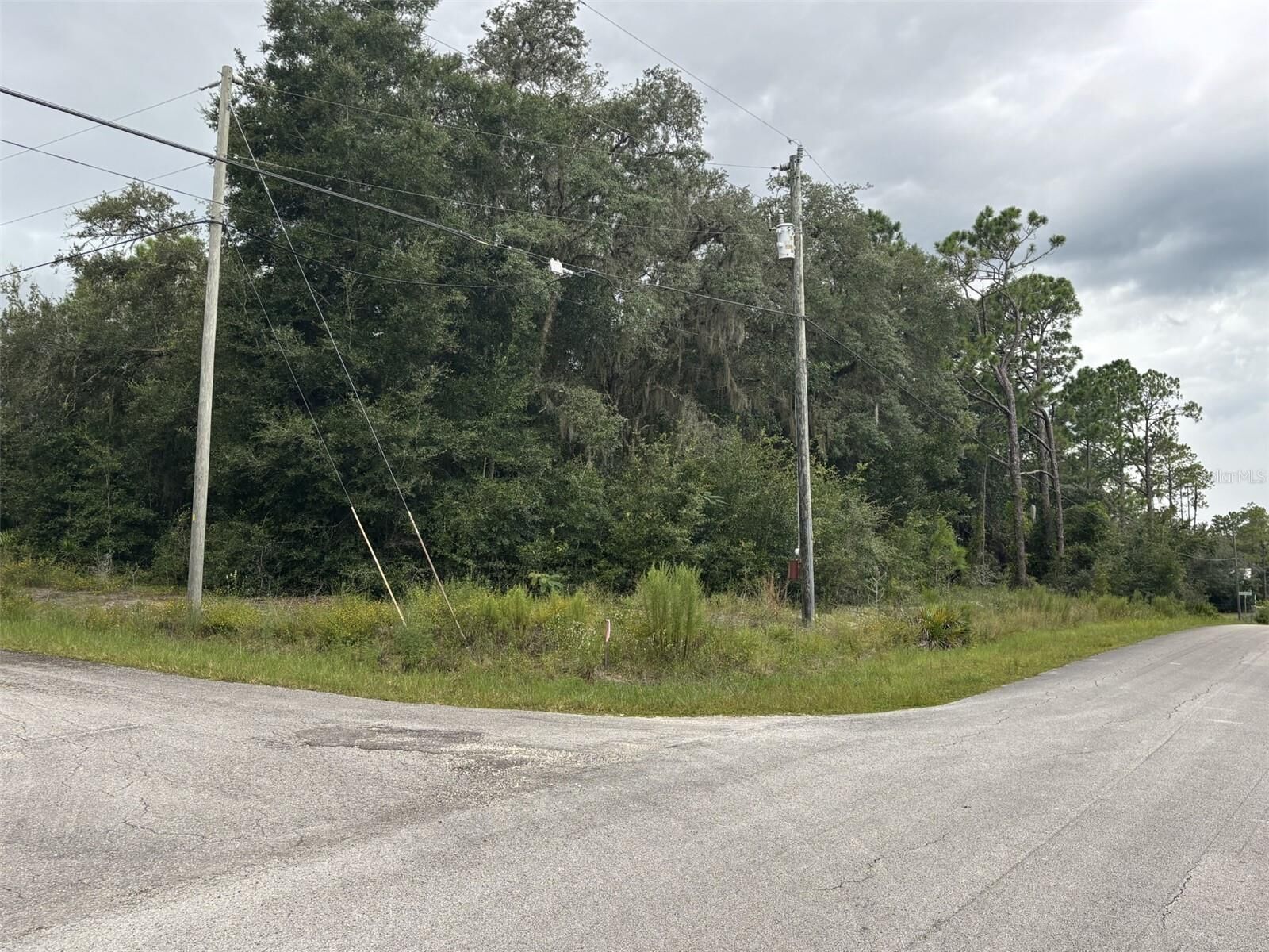 Property Photo: 0 SW South Wind Court FL 34431