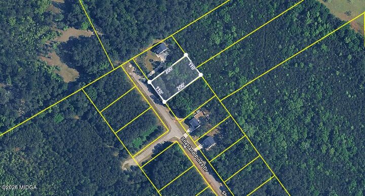 Property Photo:  167 Shetland Pines Drive  GA 31216 
