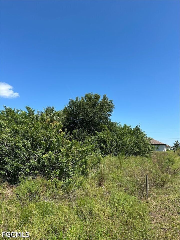 Property Photo:  4204 SW 18th Street  FL 33976 
