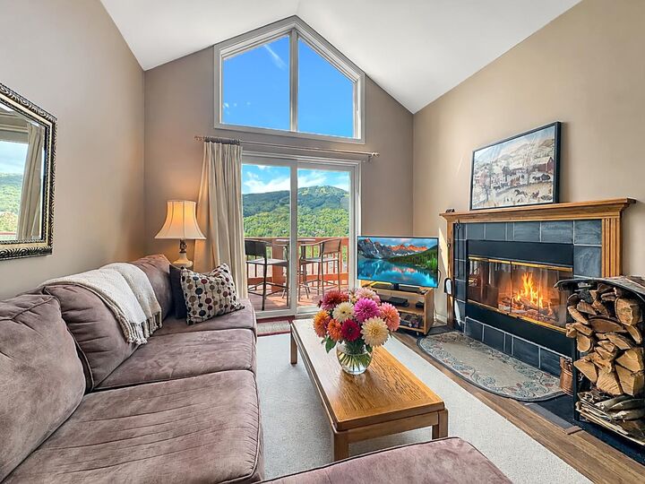 Property Photo:  17F Mountain Village  VT 05356 