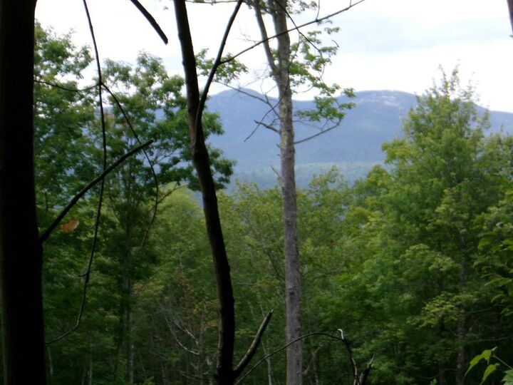 Property Photo:  Perkins Hill Road  NH 03222 