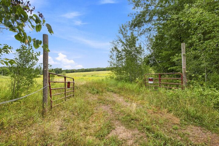 Property Photo:  Tbd Teds Drive  MN 55735 