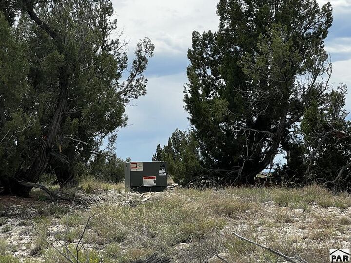 Property Photo:  6045 Reno Rd  CO 81004 