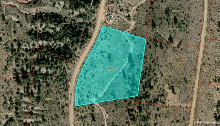 Property Photo: Lot 4546 Beekman Road CO 81133