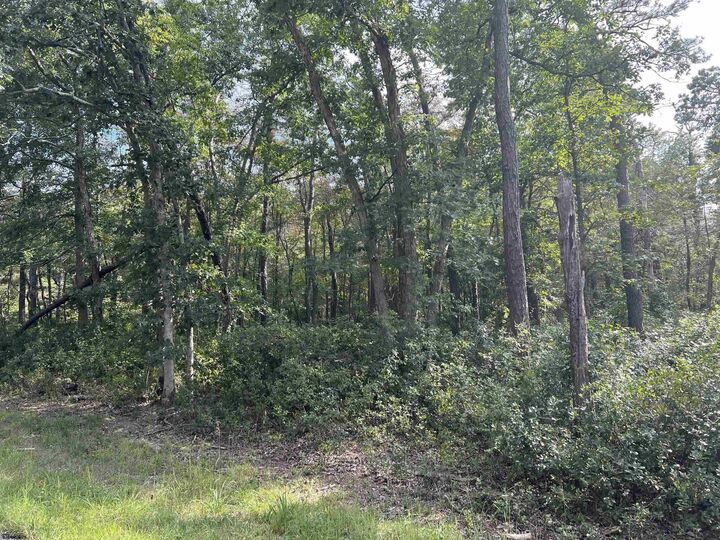 Property Photo:  5827 Holly Street  NJ 08330 