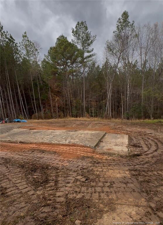 Property Photo:  183 Thistlecone Lane  NC 27330 