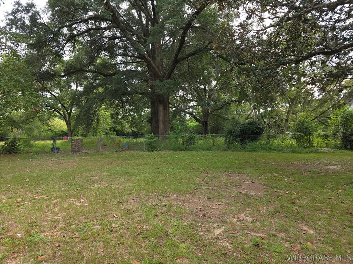 Property Photo: Tbd Newton Avenue AL 36360