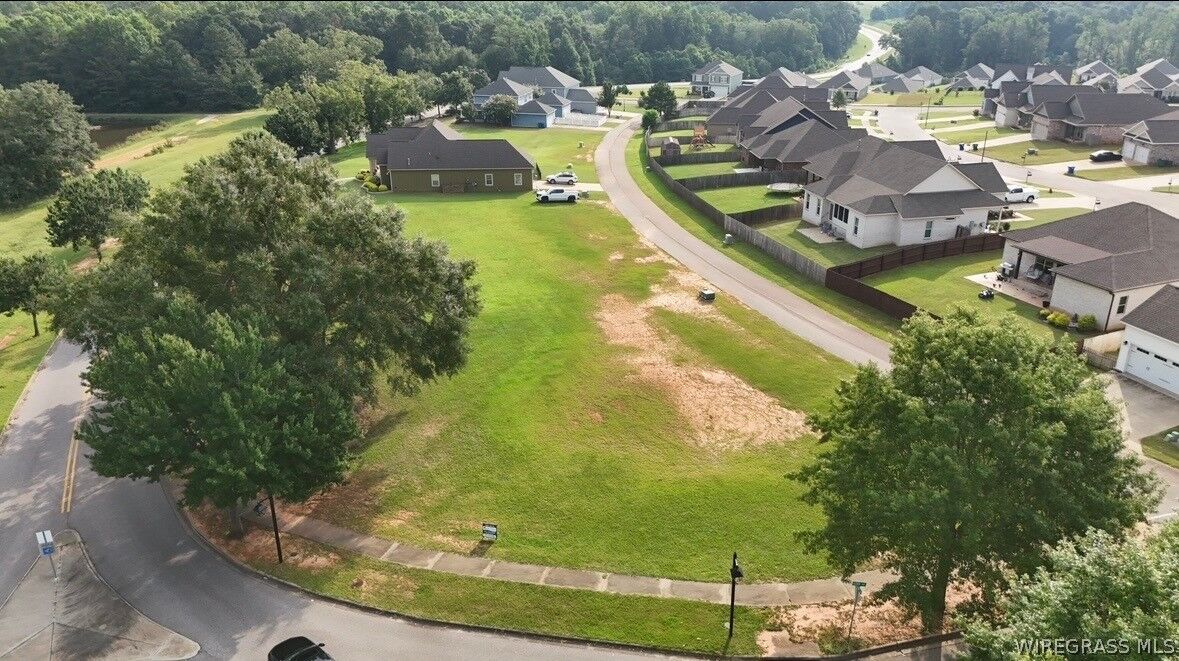 Property Photo: 0 (Lot 1 Block B) Oak Park Drive AL 36079