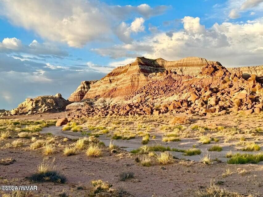 Property Photo:  8983 Down Under 38.82 Acres Road  AZ 86025 
