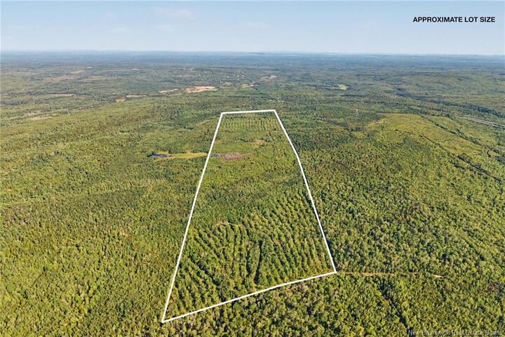 Property Photo:  Land Mountain Road  NB E3E 2H9 