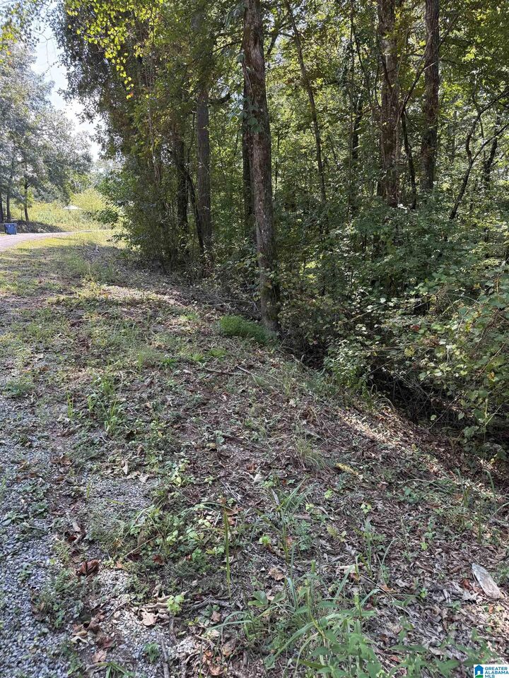 Property Photo: 0 Maplewood Drive 152 &Amp 153 AL 35160