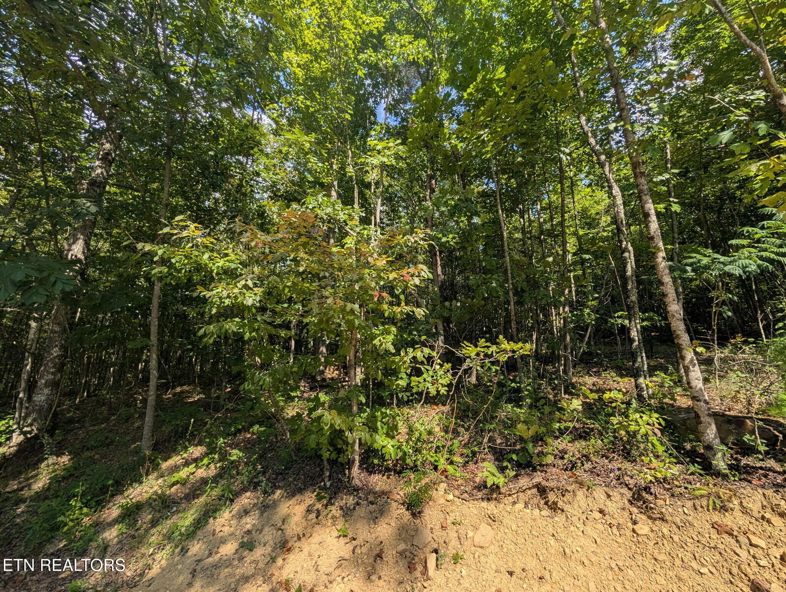 Property Photo: Lookout Drive - Lot 63 TN 38572