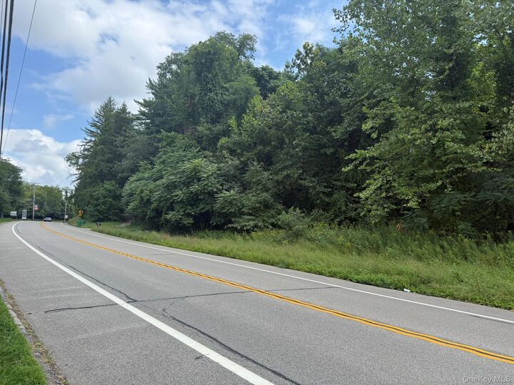 Property Photo:  2318 Route 52  NY 12533 