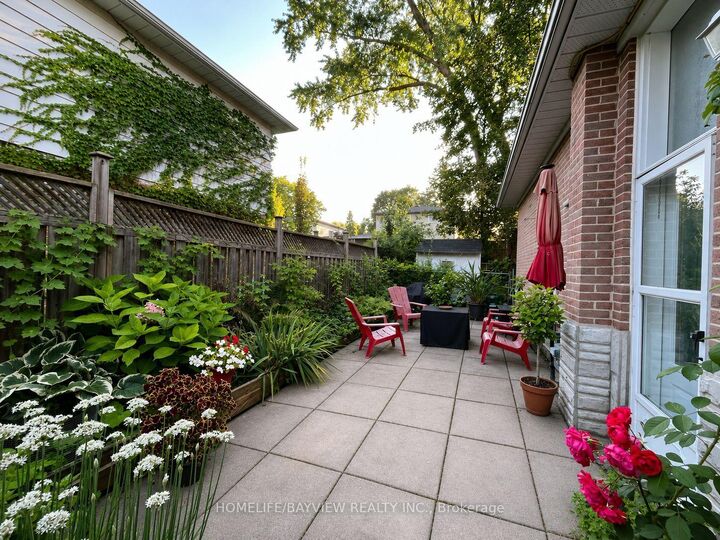 Property Photo:  338 Lorne(Lower Level) Avenue  ON L3Y 4K7 
