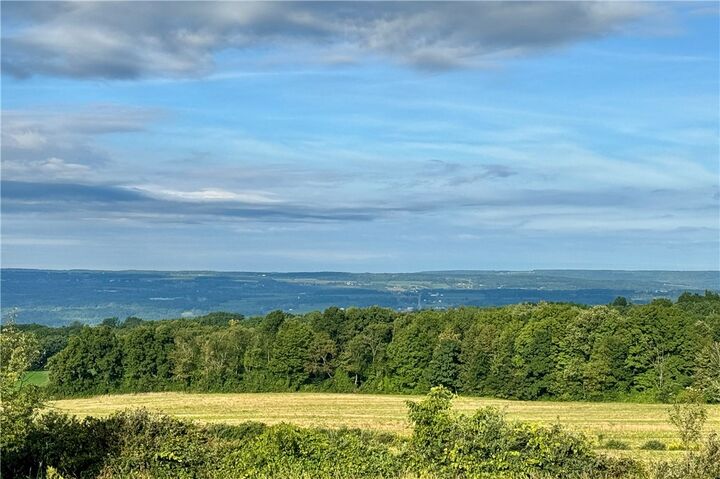 Property Photo:  Lot 1 0 County Road 4  NY 14841 