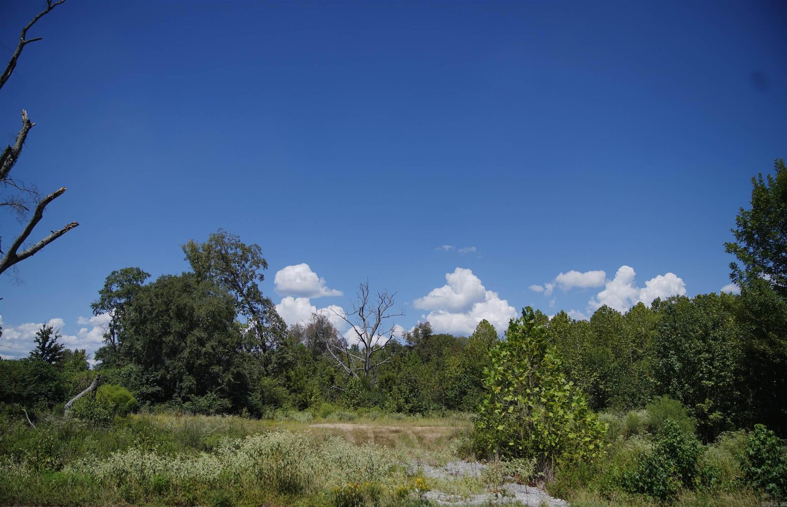 Property Photo: 3324 Hilldale Road (Lots 11, 12 &Amp Tract A) AR 72002