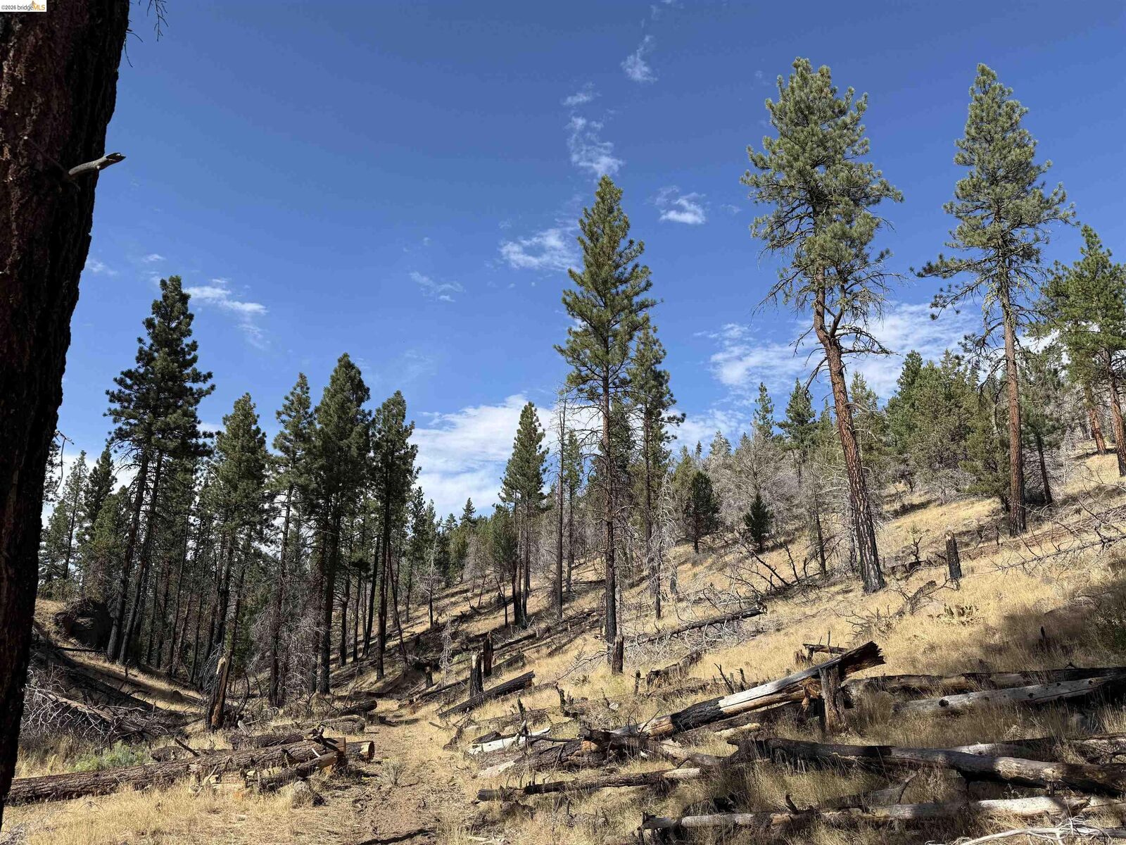 Property Photo:  00000 Butte Creek Rd  CA 96127 