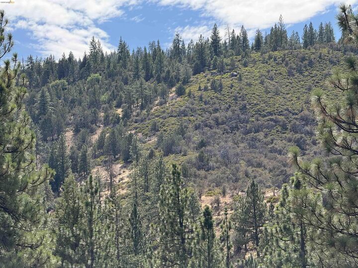 Property Photo:  00000 North Twin  CA 96009 