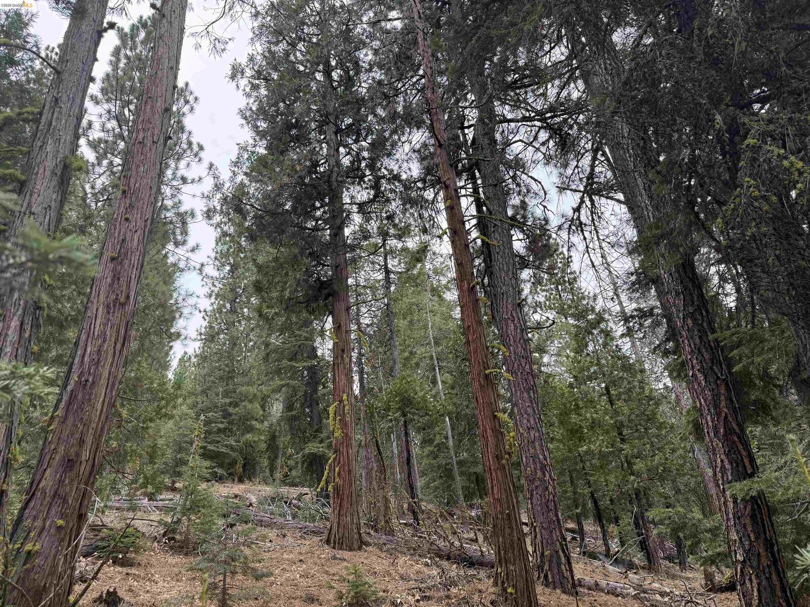 Property Photo:  00000 Hillcrest  CA 96101 